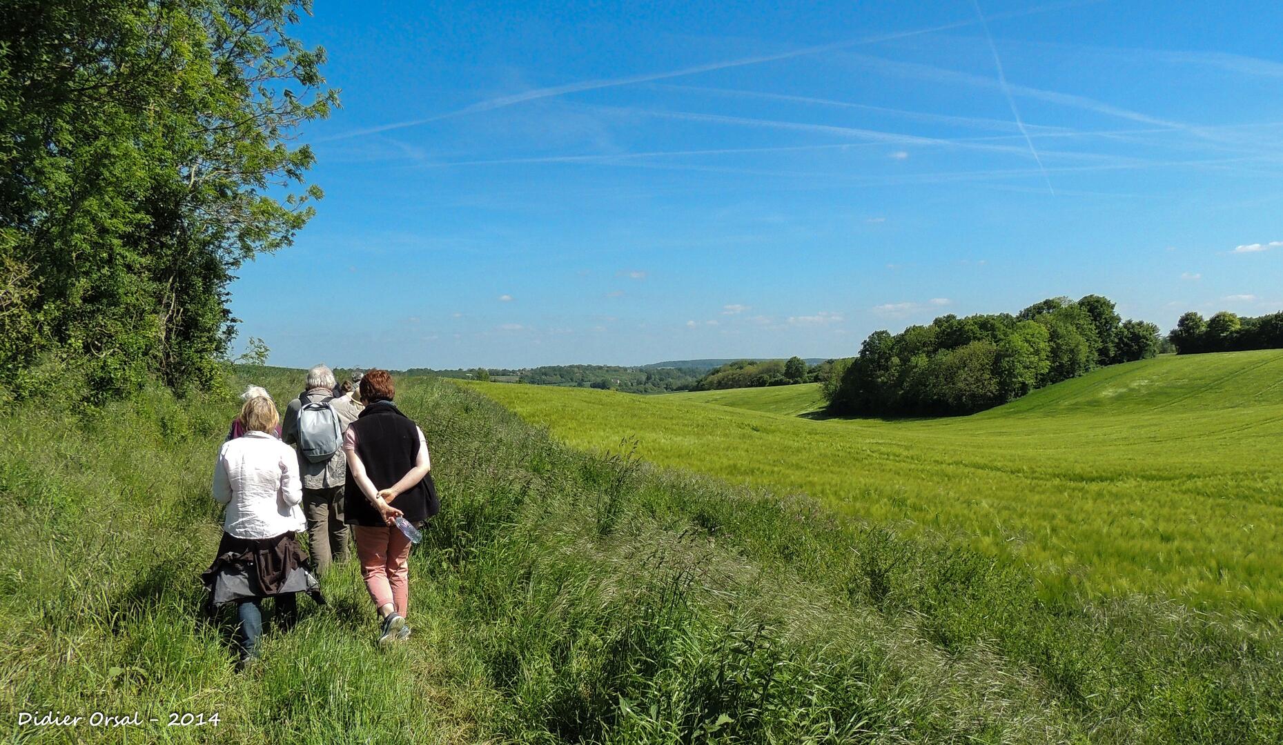 Appenay sous Belleme Chemins alentours 00001