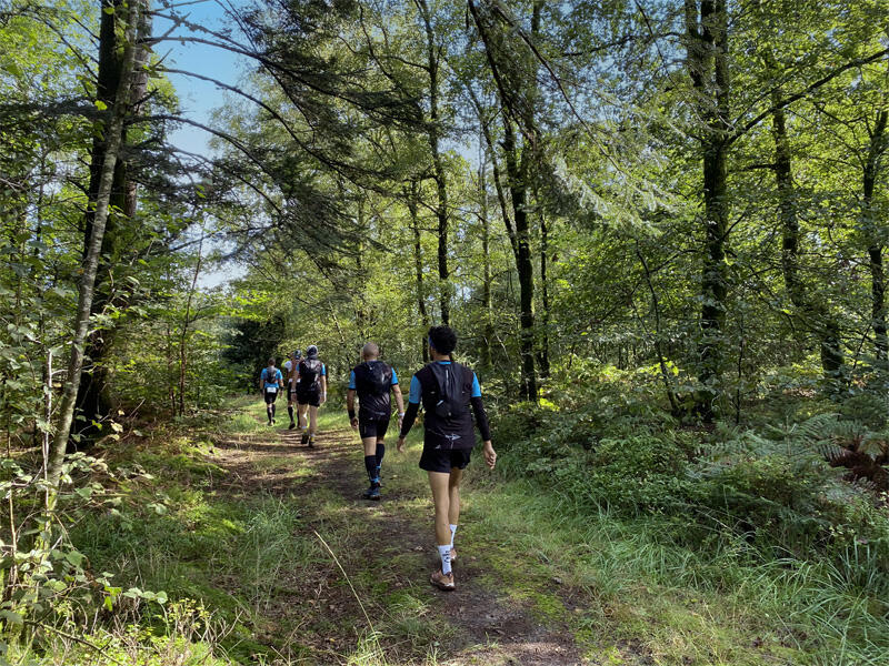 BNT-2024-bagnoles-orne-bebagnoles-bnt-2024-normandie-trail-foret-coureurs-marche