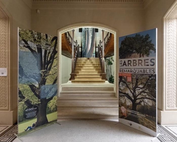 Bazoches-sur-Hoëne_expo