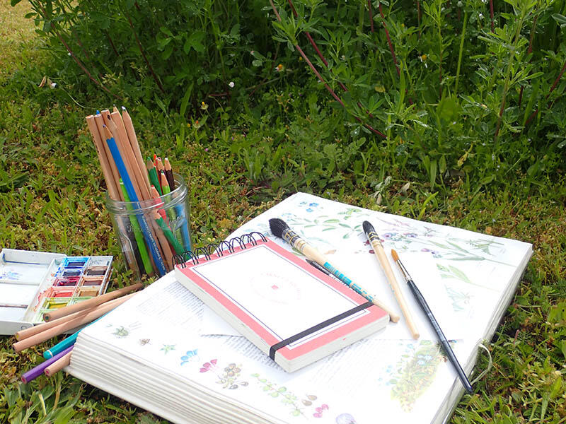 CROQUIS X800