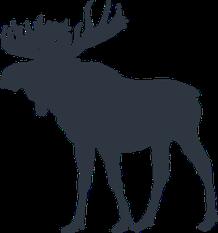 Caribou bleu