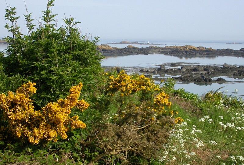 Chausey