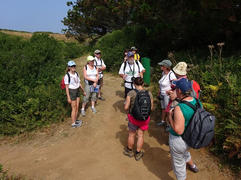 Michel Jeanne_Visite Chausey*