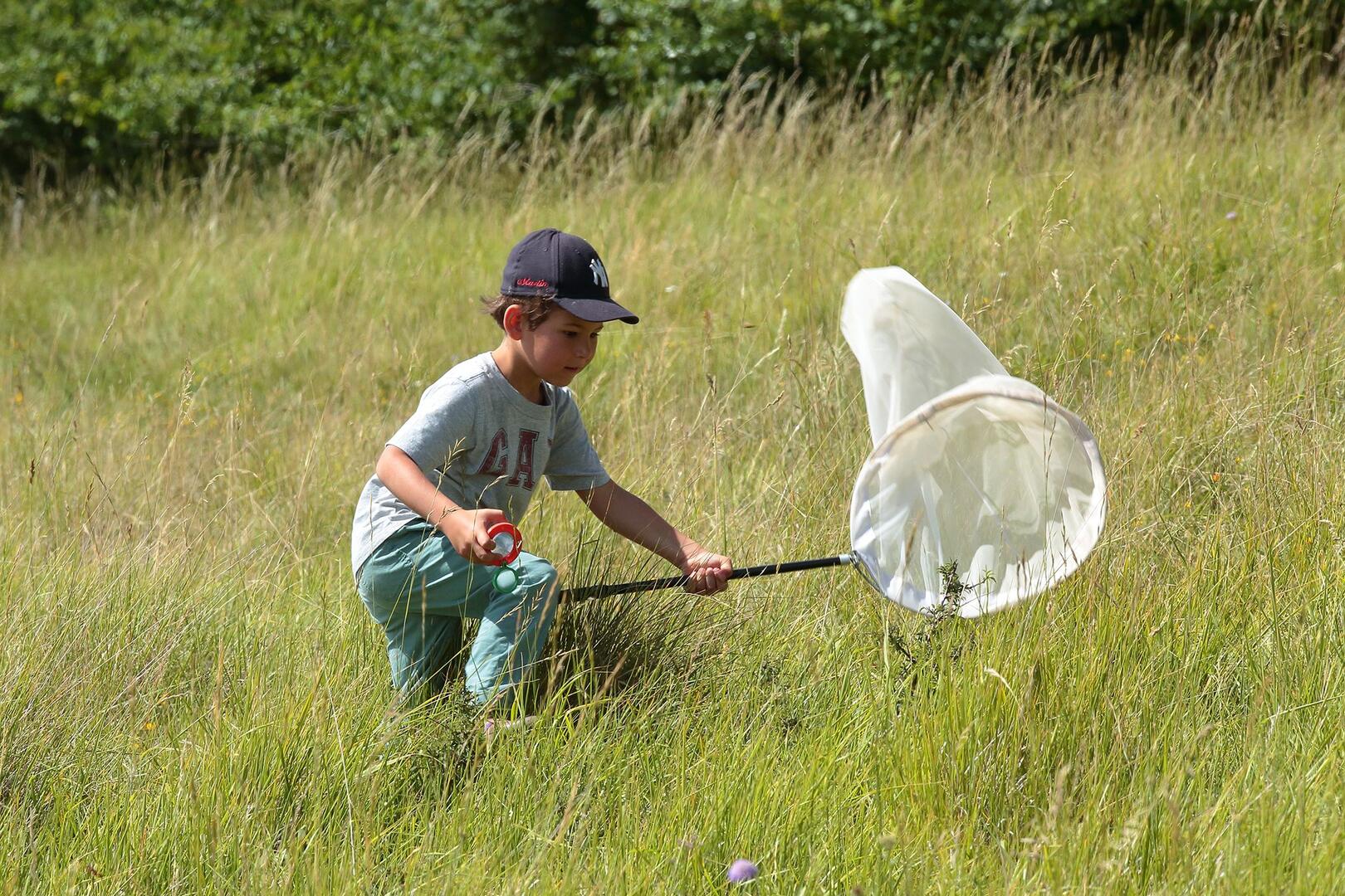 Chasse papillons_Coteau_Bandonnière_C.AUBERT