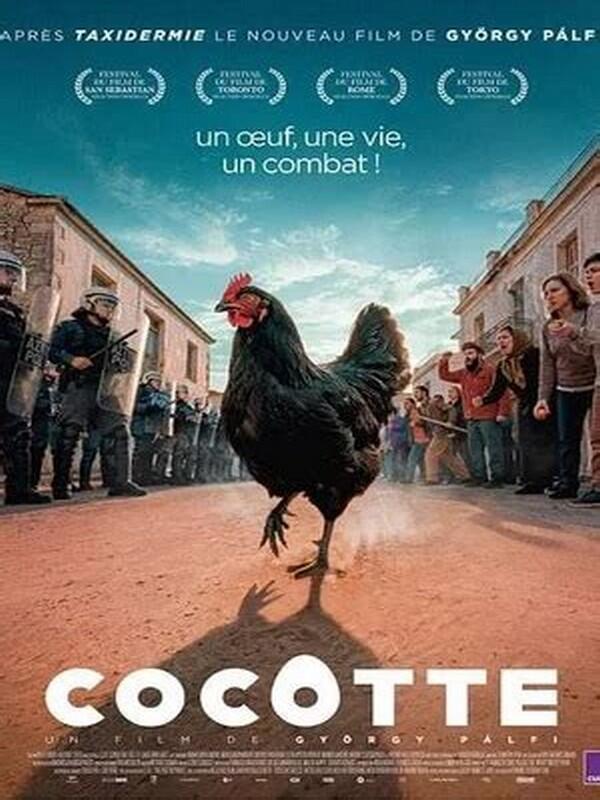Cocotte