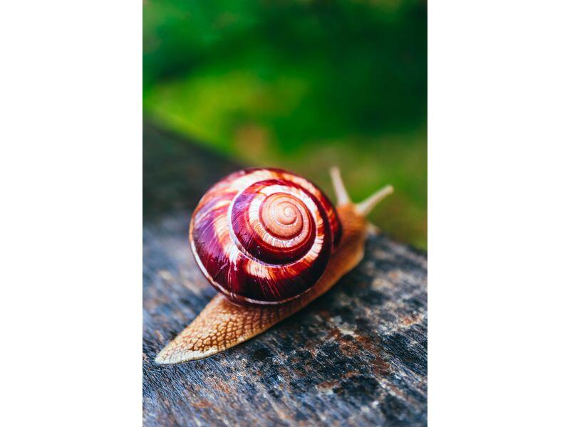 Copie-de-P47---AdobeStock-218980975