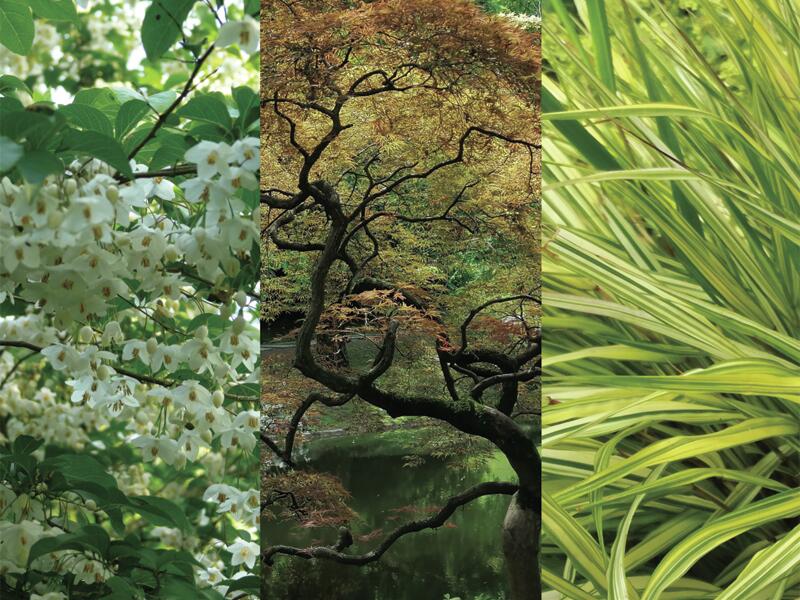 bagnoles-orne-fete-plantes-entre-ville-jardin-2026