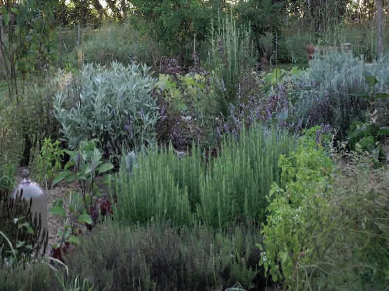 Jardin ©Laconstellation