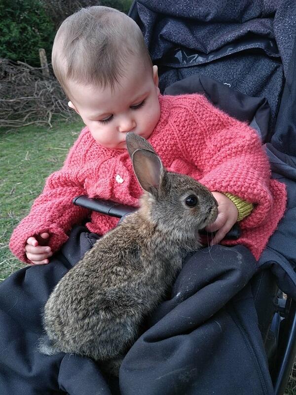 MonPetitLapin