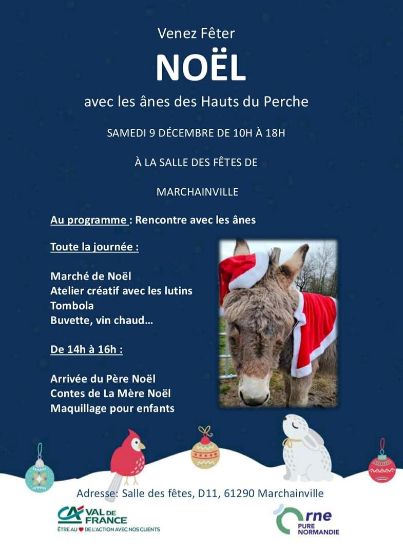 Noel des ânes 9 D2CEMBRE