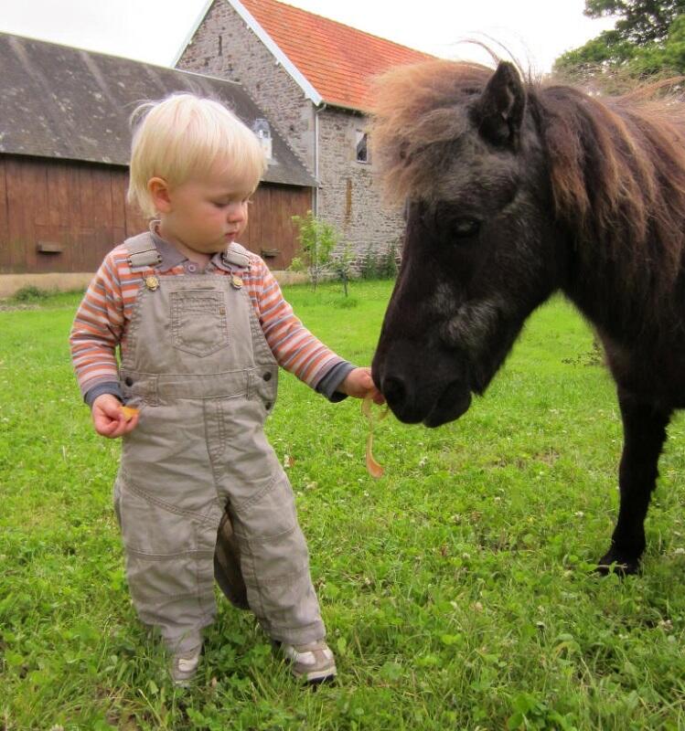 Poneys