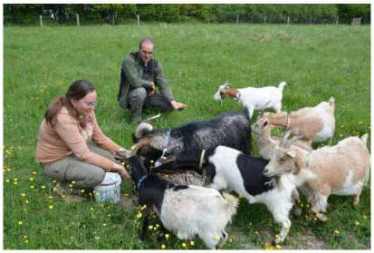 Soins aux animaux