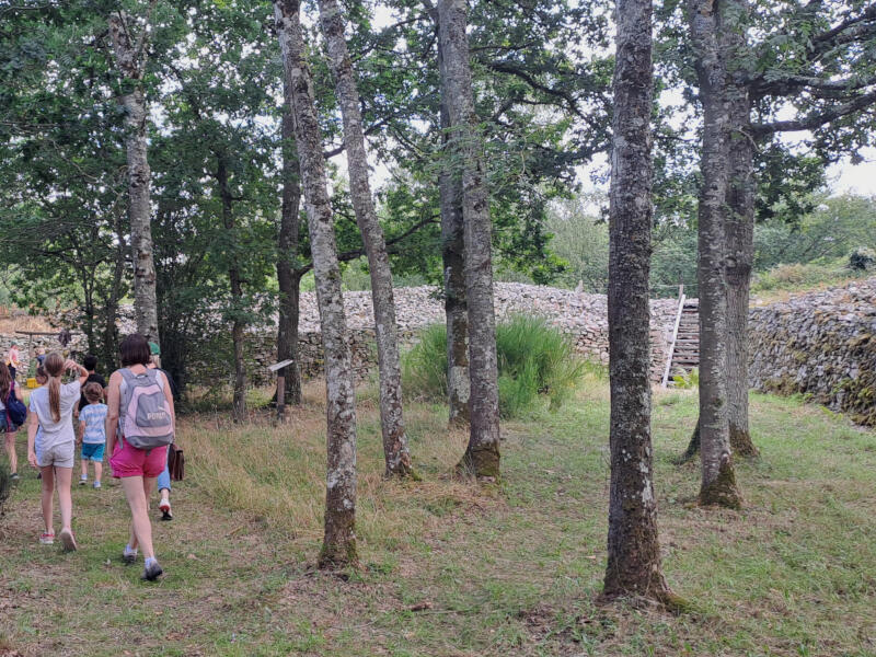 Visite guidée Camp celtique 800x600