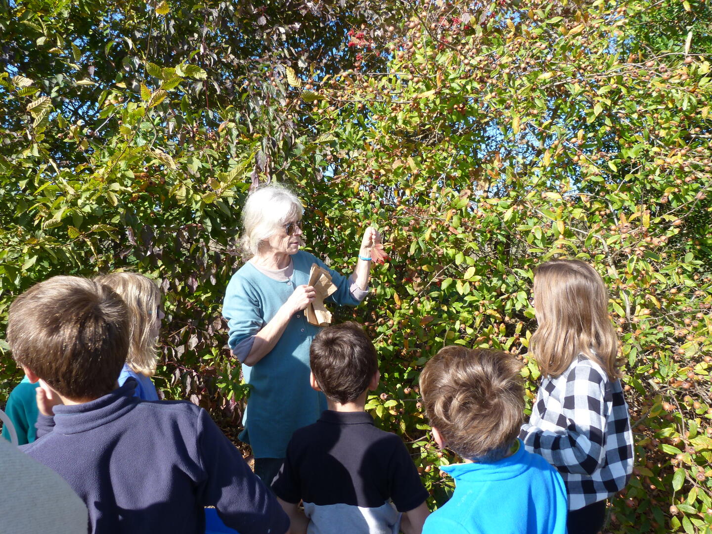 animationhaiesept2018