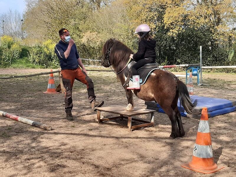baby poney