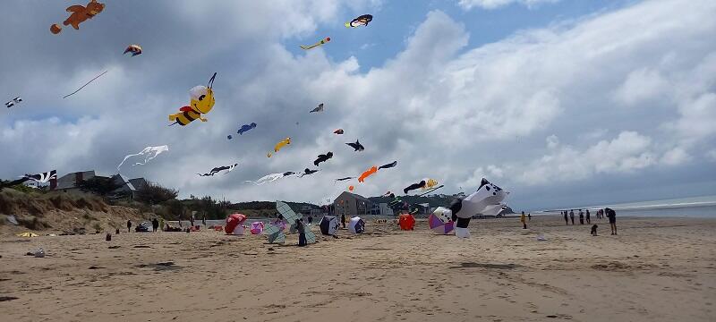 cerf volant