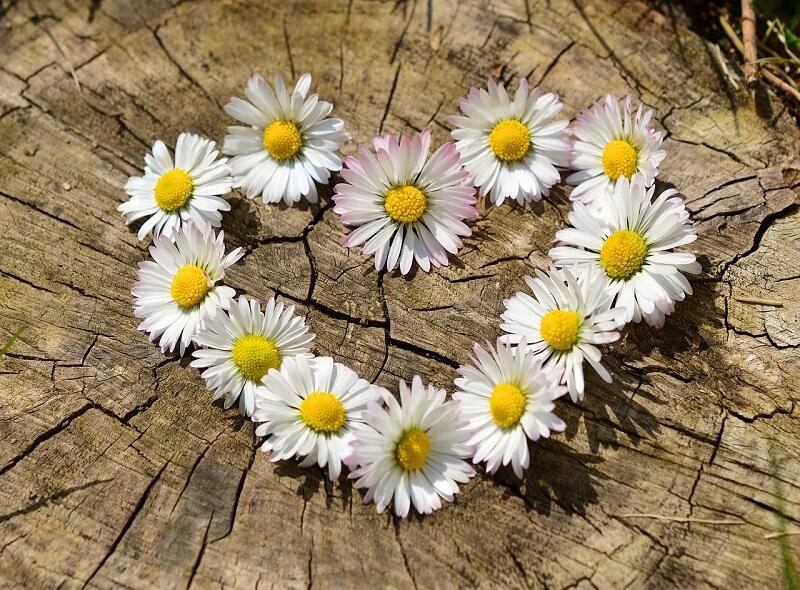 coeur amour