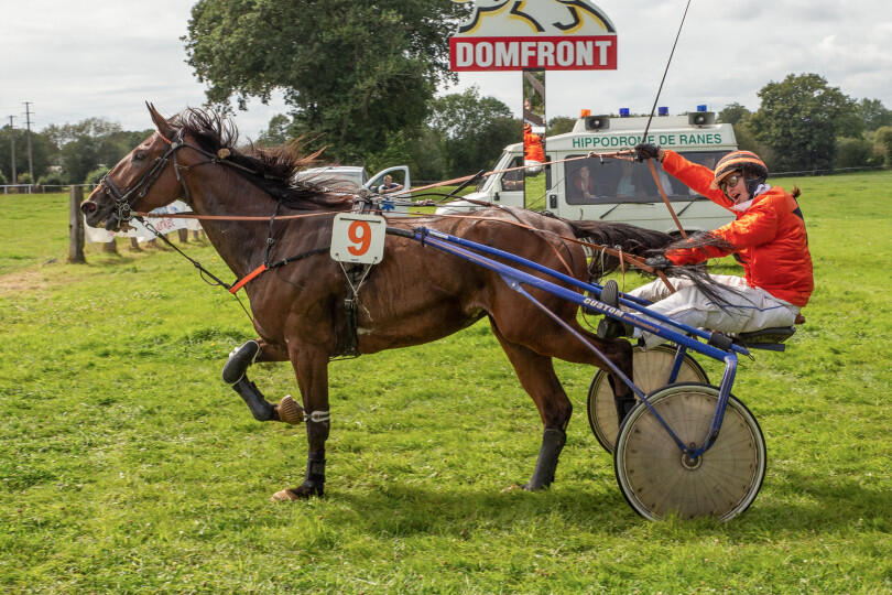 courses_hippiques_domfront