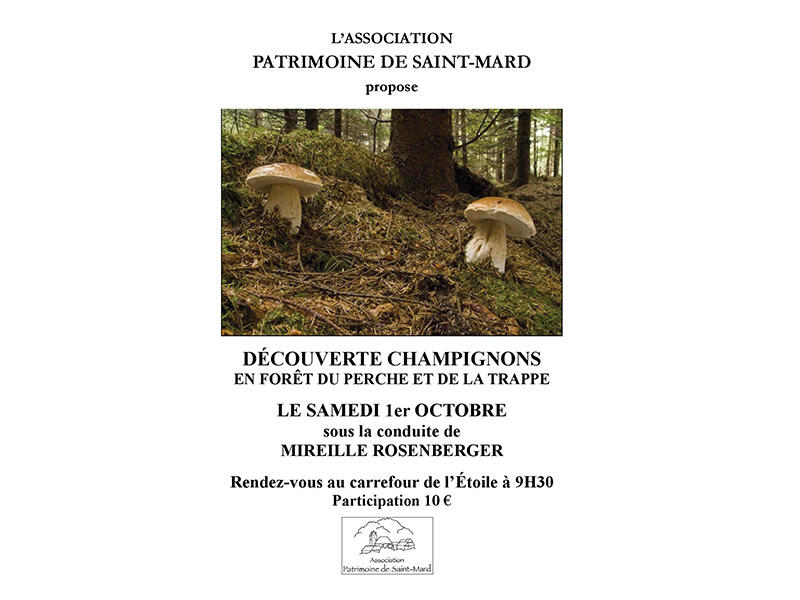 decouverte-champignons-etoile-du-perche-tourouvre