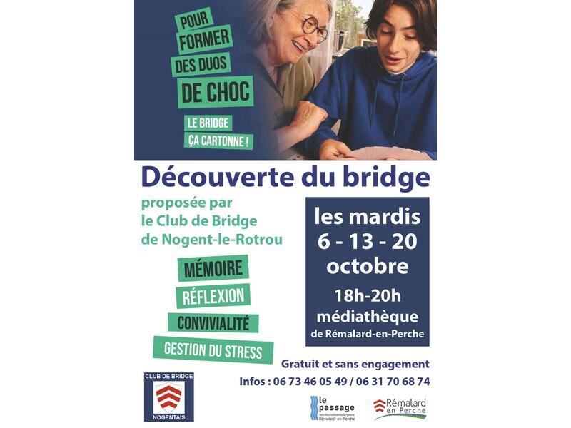 decouvertebridge-remalard-800