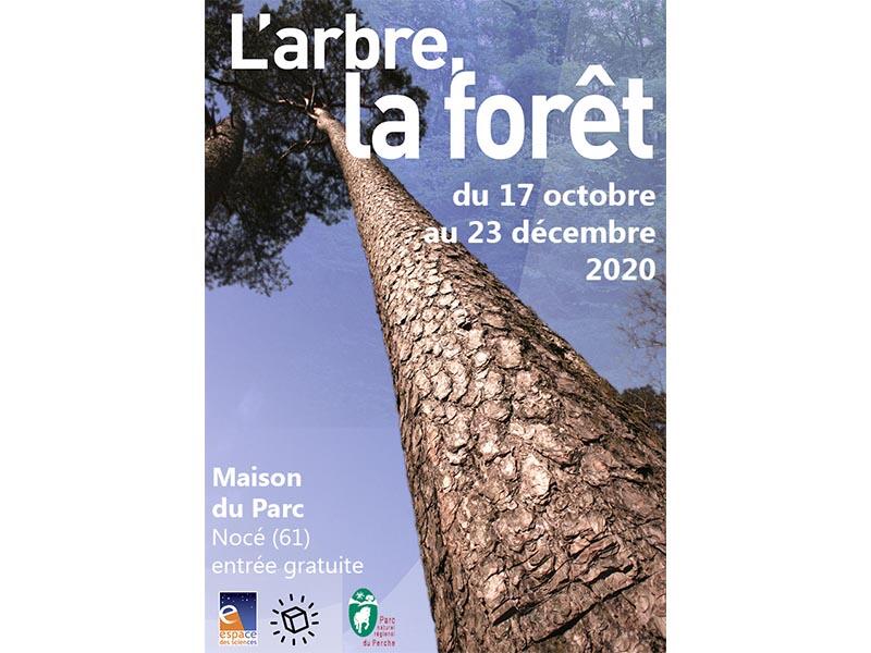 expo arbre 800x600