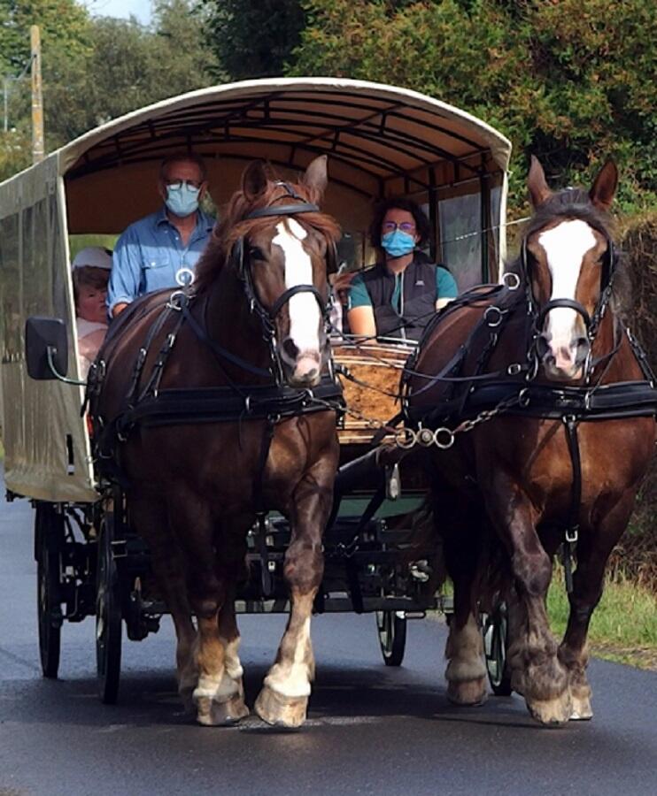 ferme equestre des courlis