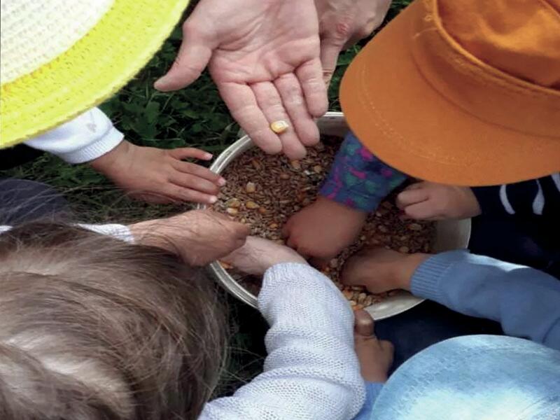 fermed'Apolline 800x600