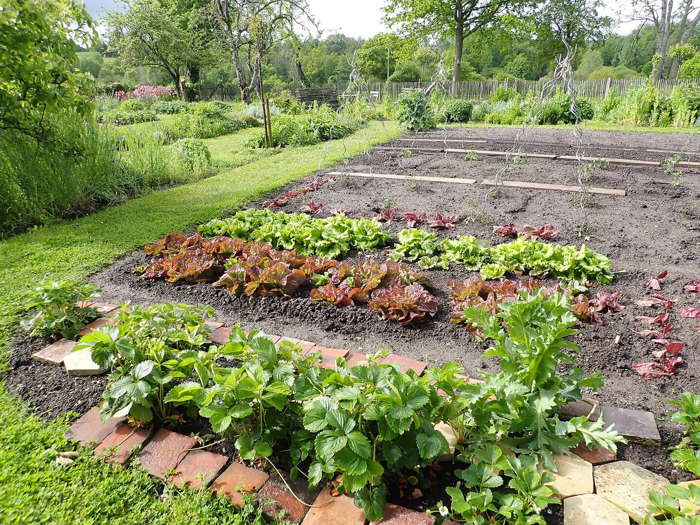 jardin partagéX800