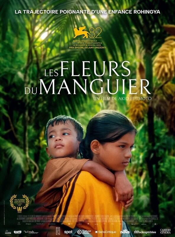 les fleurs du manguier