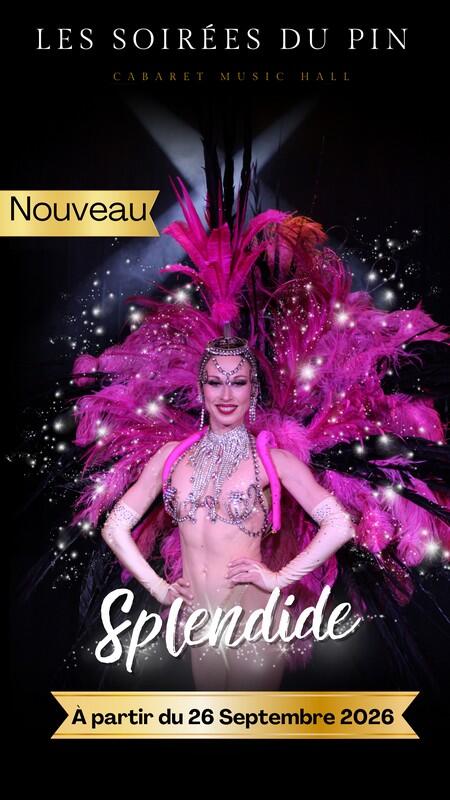les soirées du pin visuel