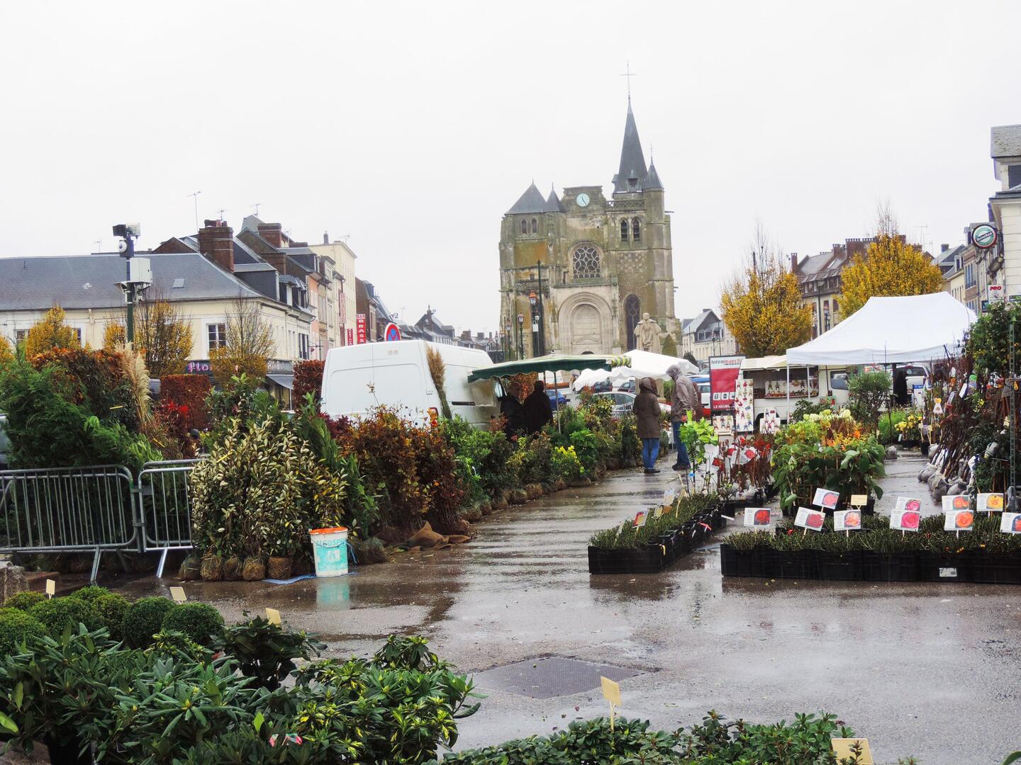 marché aux arbres