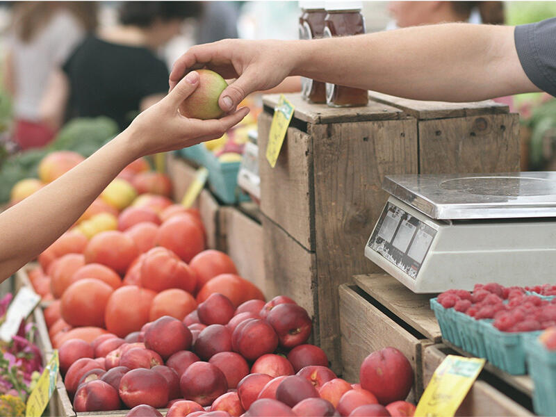 marché producteurs longny