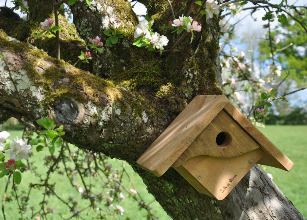 nichoir_boule-de-plumes