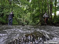 La Pêche dans l'Orne