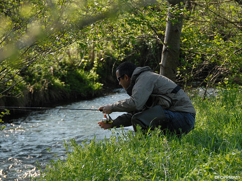La Pêche dans l'Orne