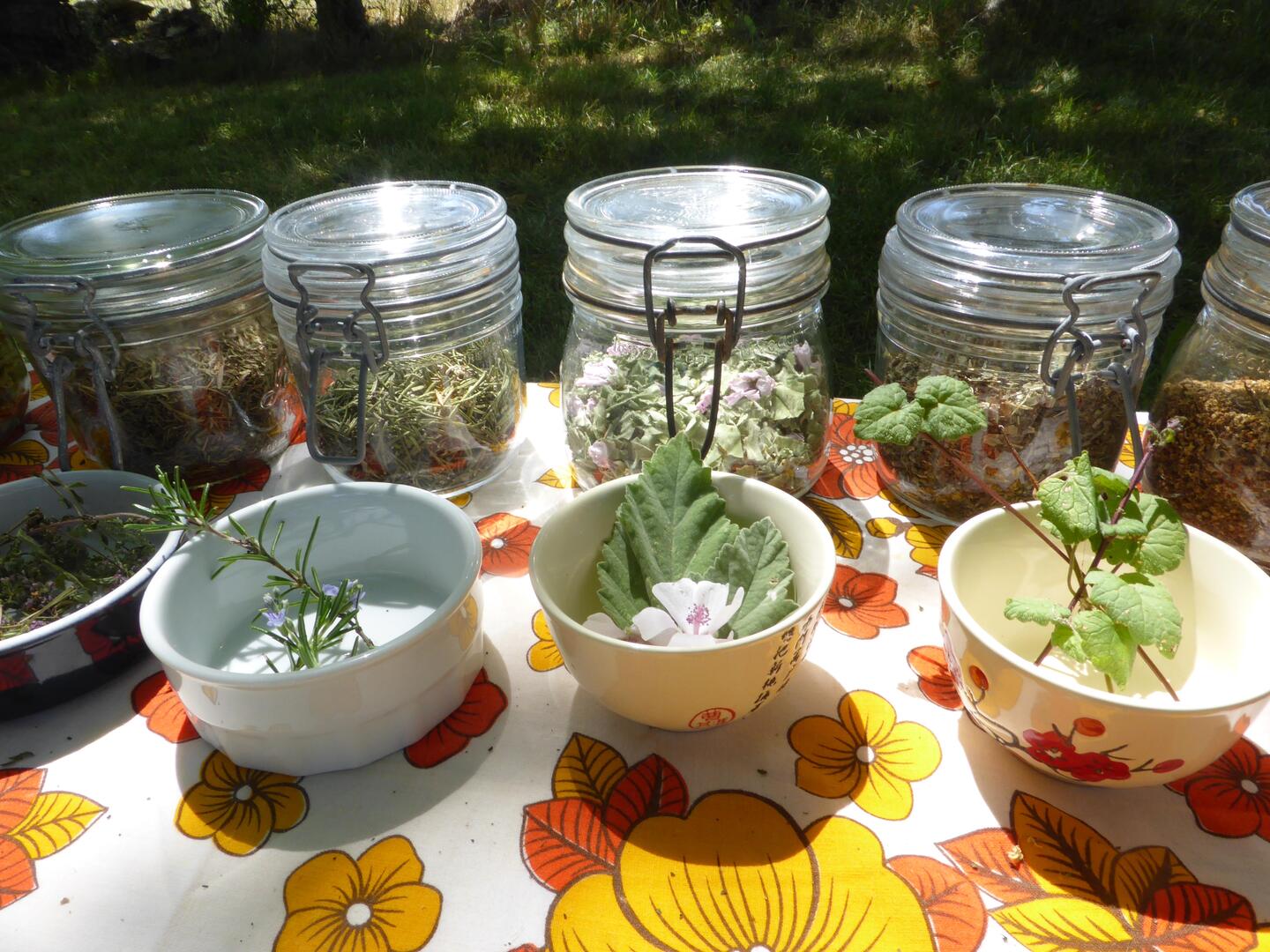 plantin2