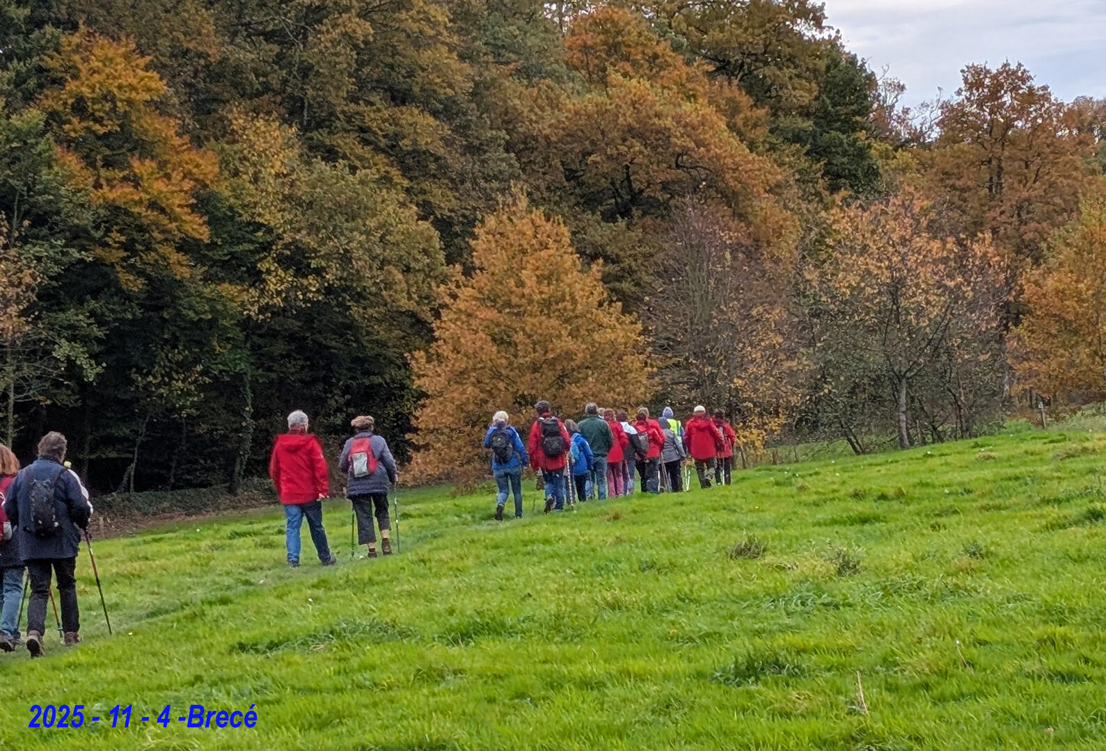 randonneurs_domfrontais