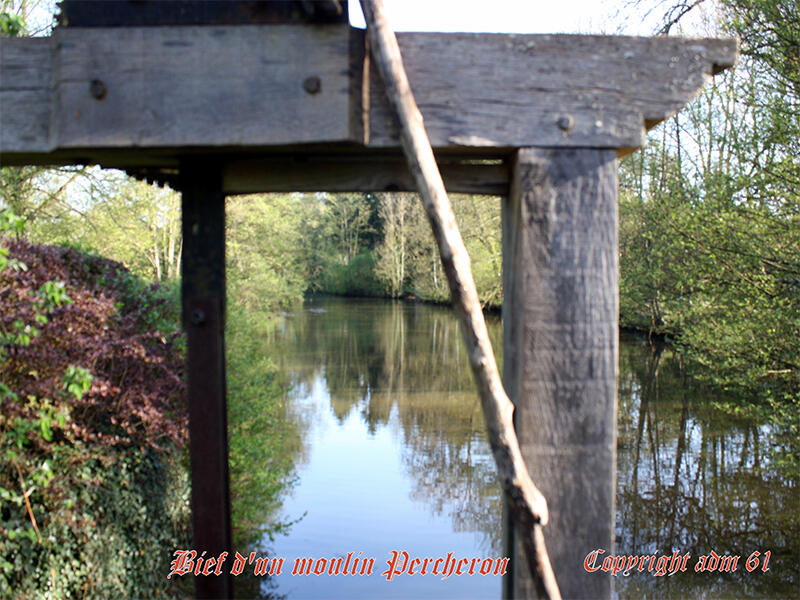 rainville 1