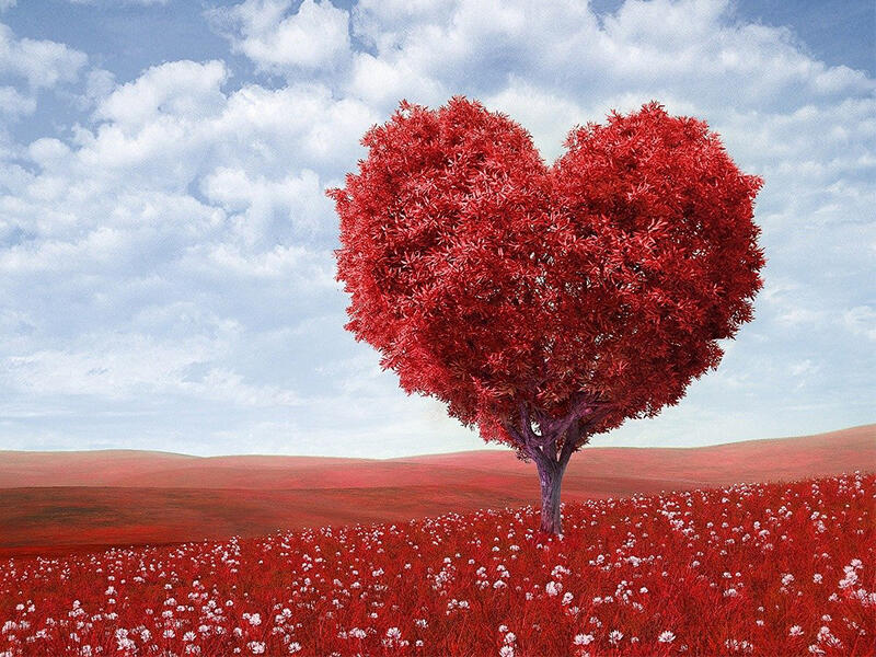 saint valentin