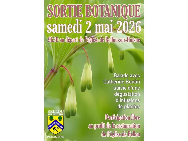 sortiebotanique-bellousurhuisne-800