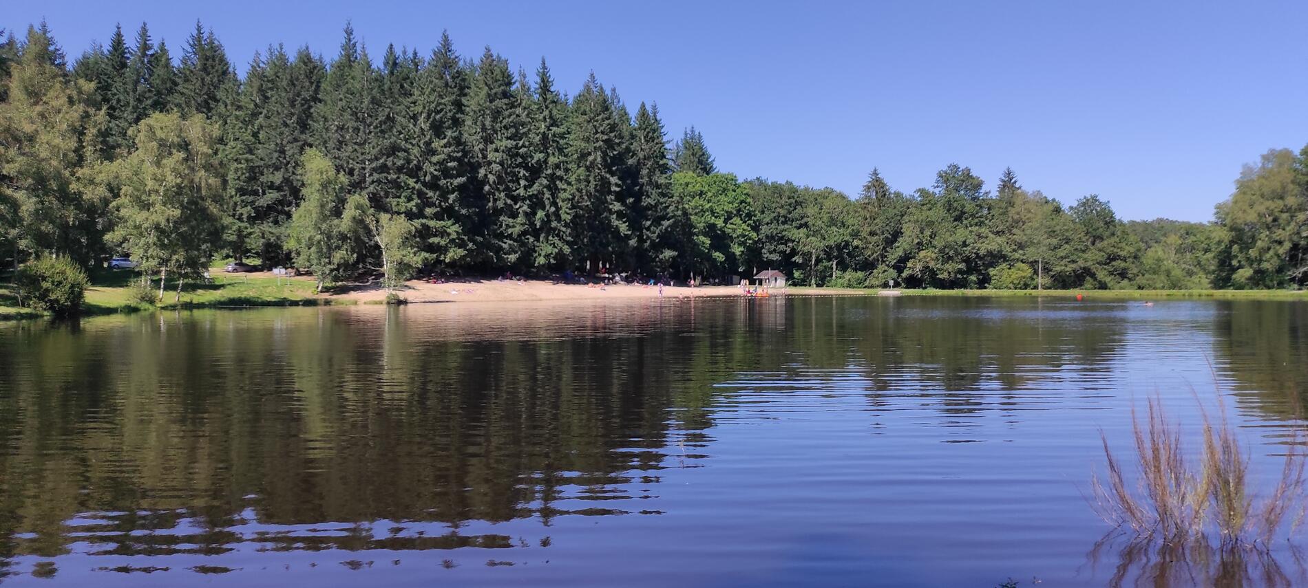 CHENERAILLES - Etang de la forêt
