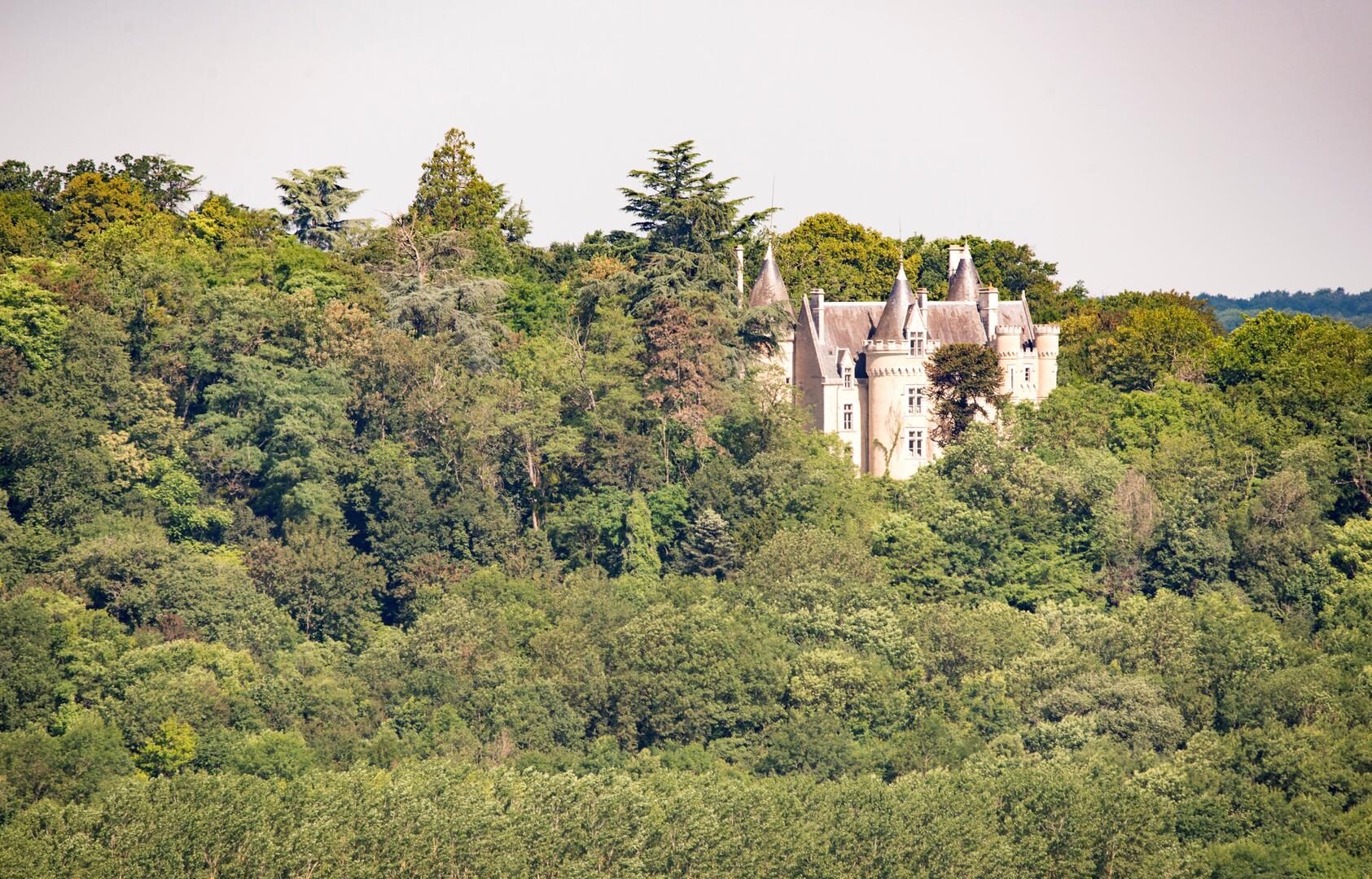 Château de Fougeret - Queaux