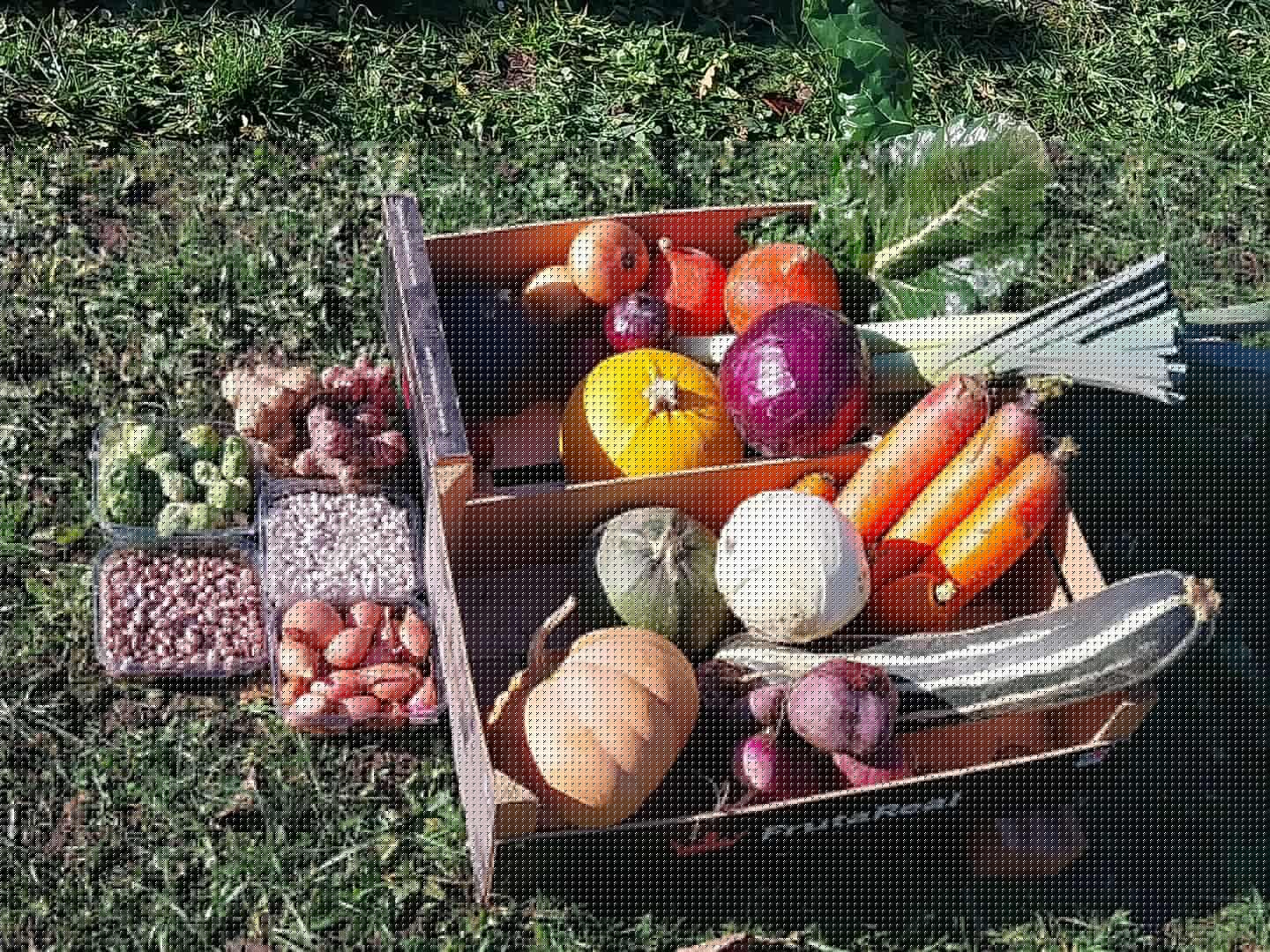 470016322_865866099072050_8410791120839190864_n