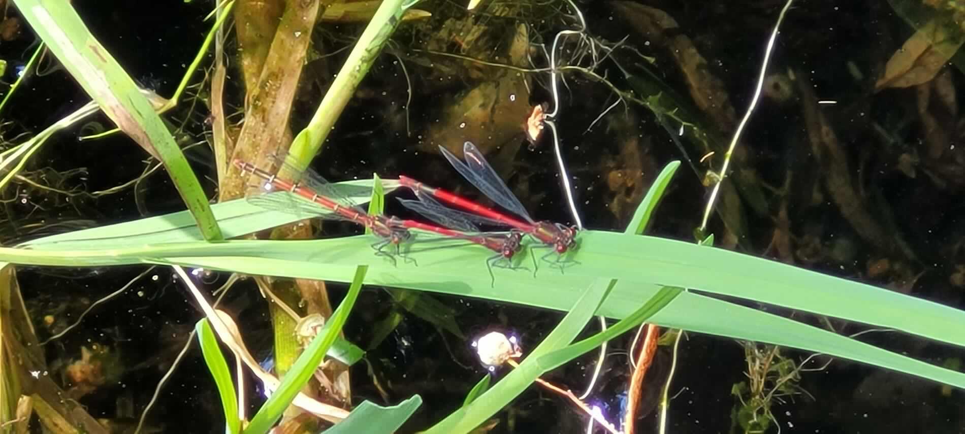 480913393_957710766470610_4018880748589612358_n