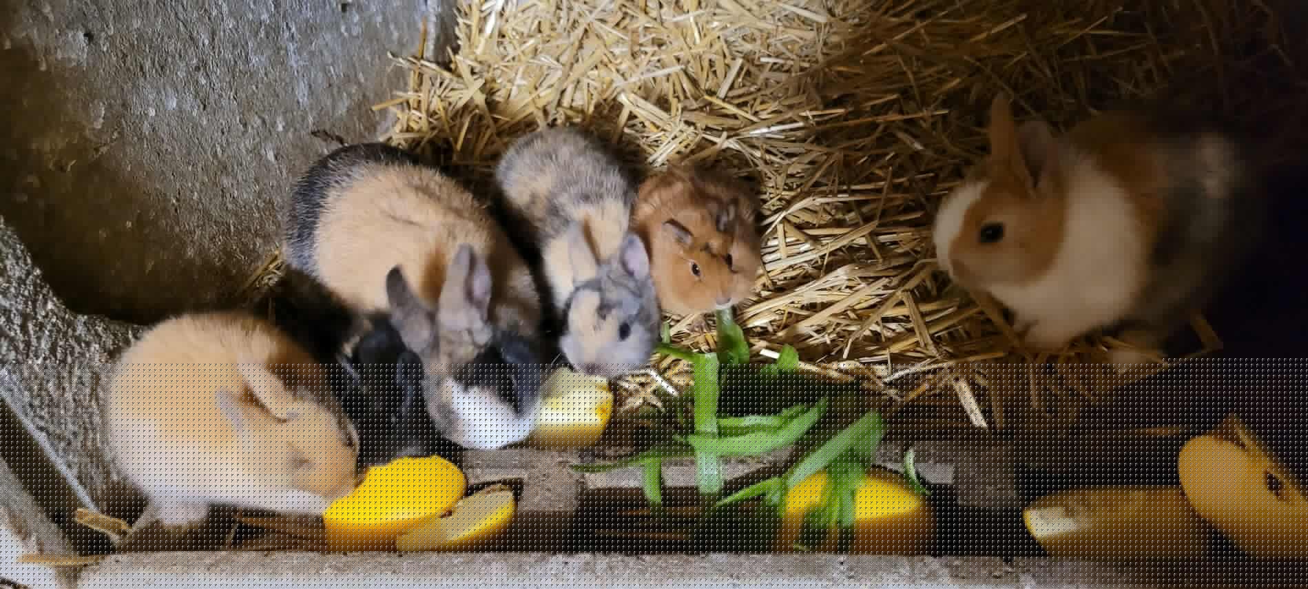 485730992_973972388177781_5029890751219050908_n