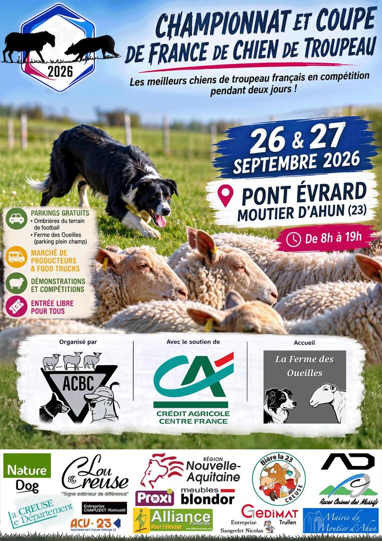 Championnat Boder collie