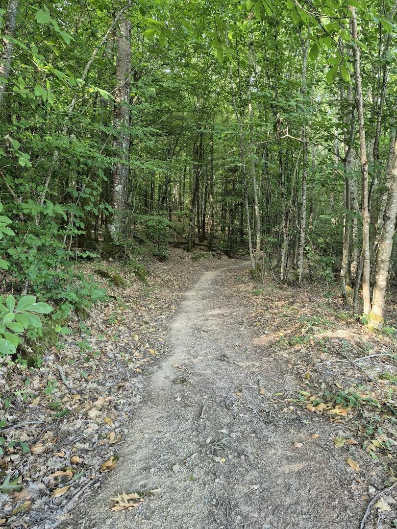 B3 - Le Bois de l'Age