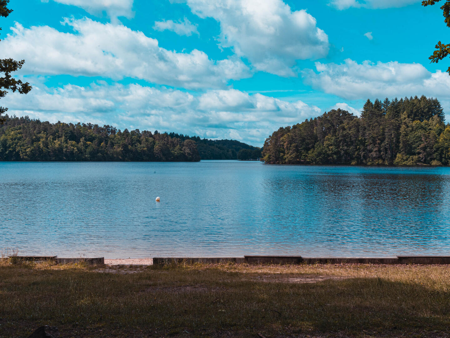 _DSC3805