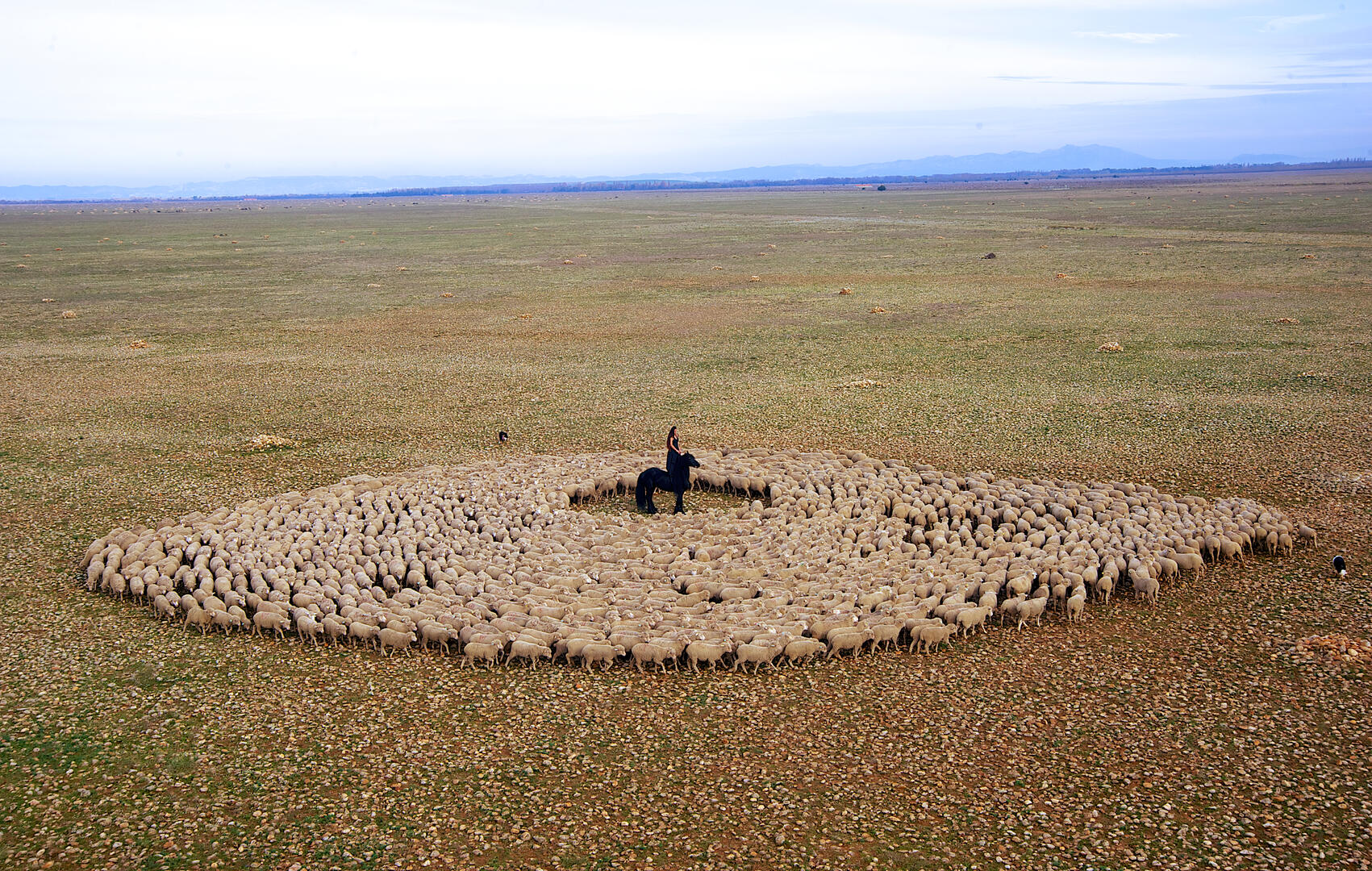 Transhumance 2013