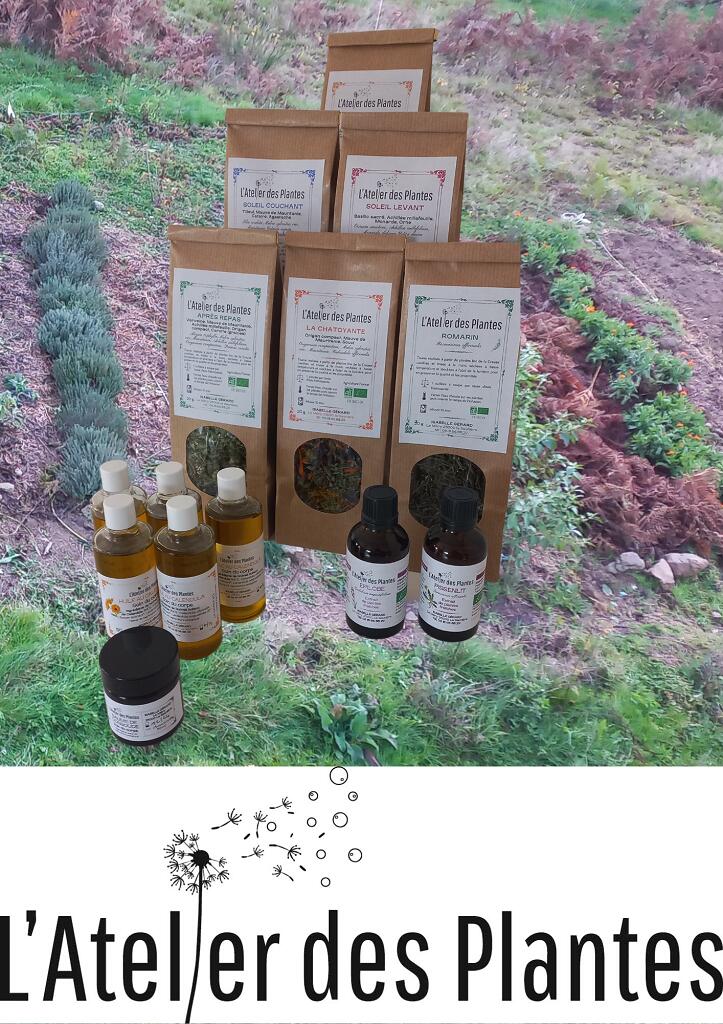 L'Atelier des plantes_1